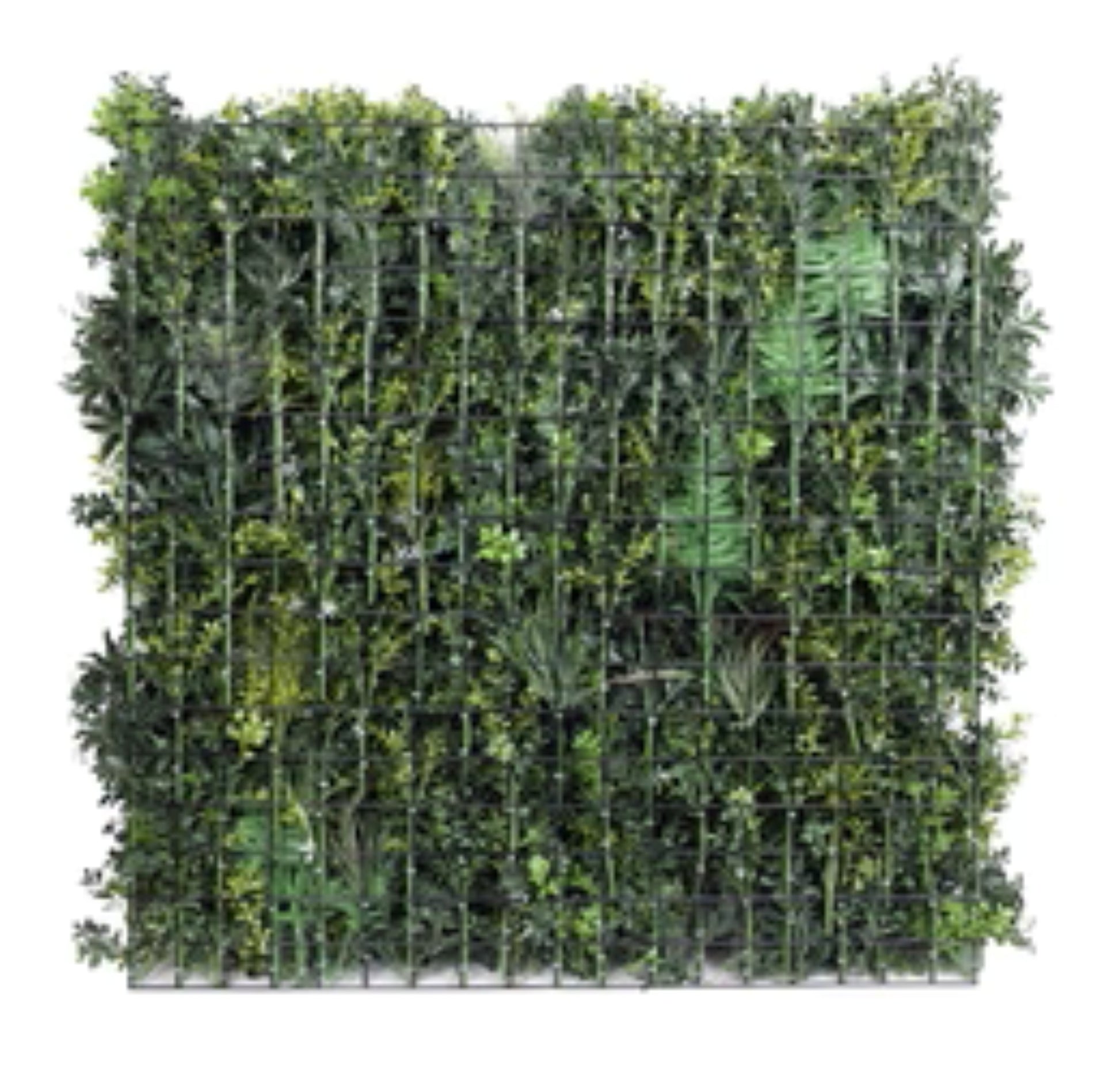Close-up of dense artificial foliage on Evergreen green wall back view