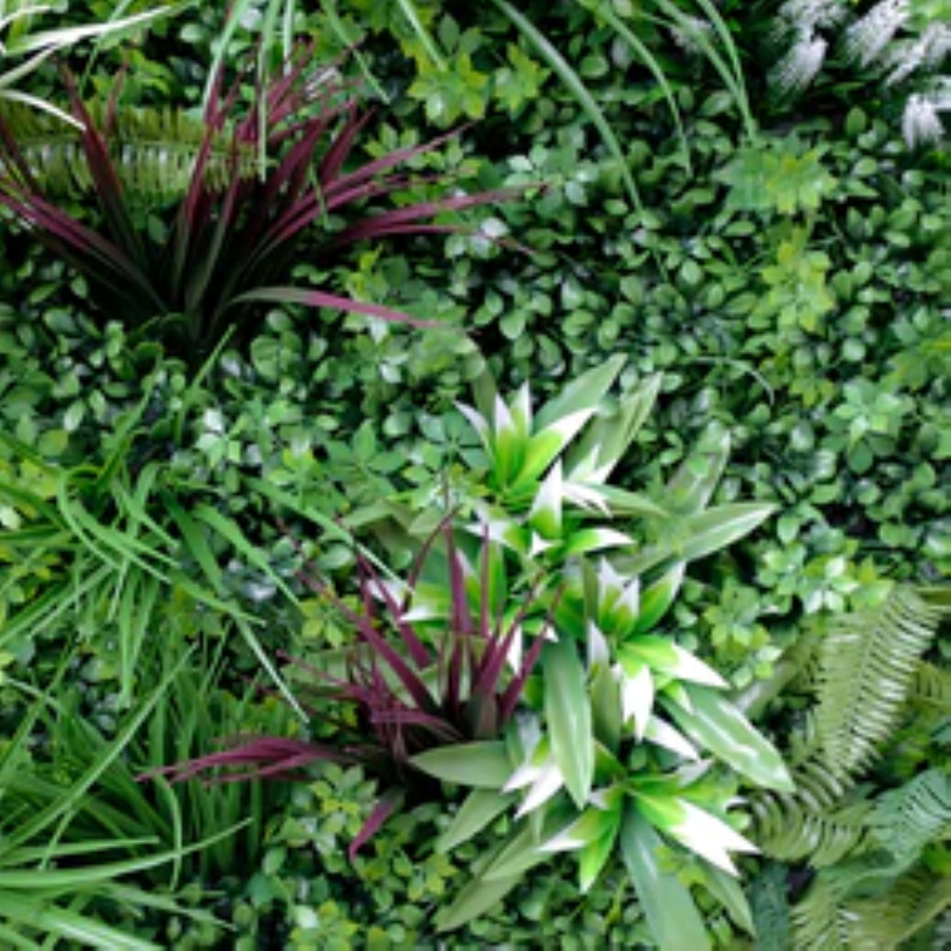 Close-up of tropical foliage on the Tropical Vista artificial green wall