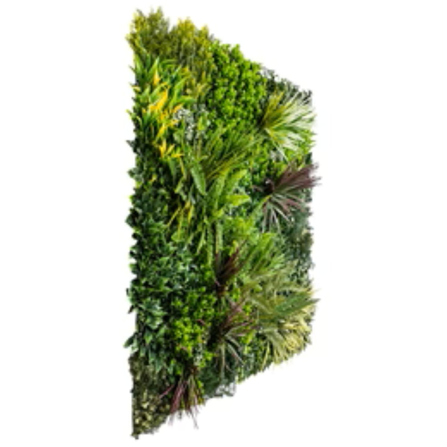 Close-up of modern foliage on Urban Greenery artificial green wall side view
