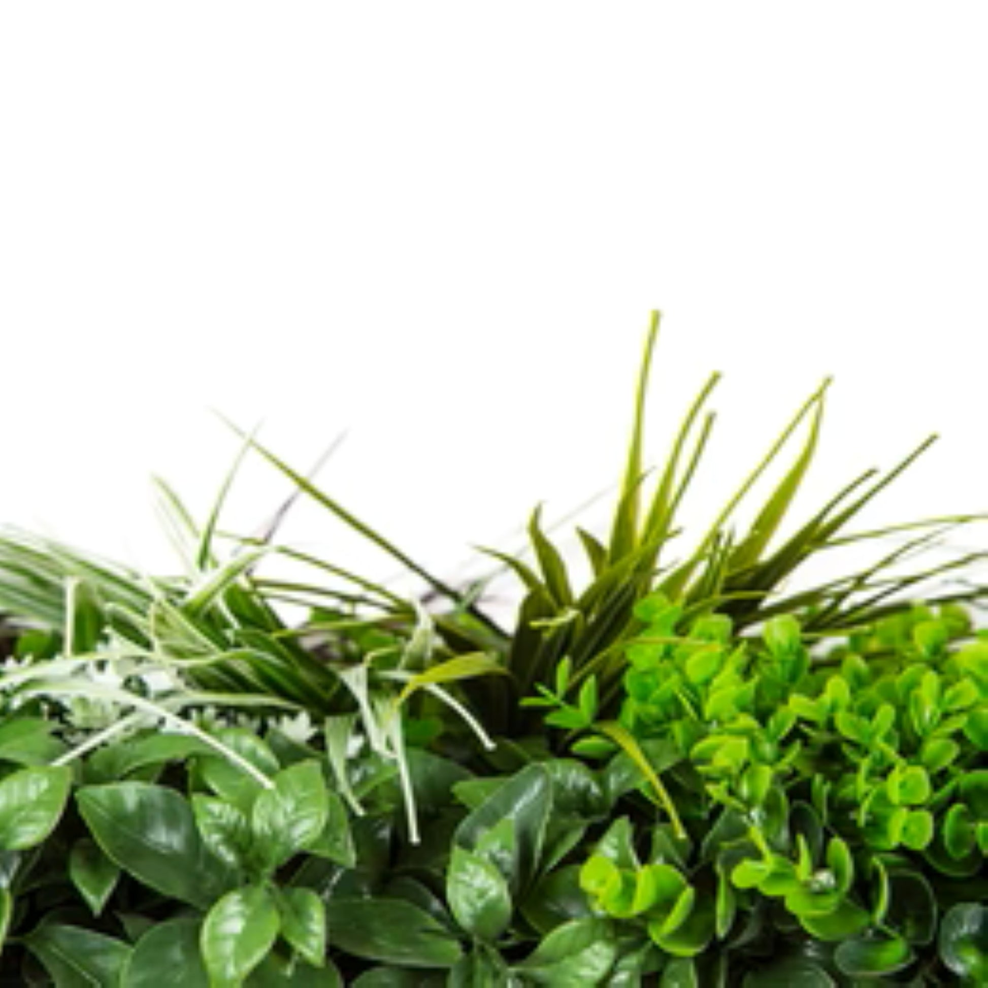 Close-up of modern foliage on Urban Greenery artificial green wall