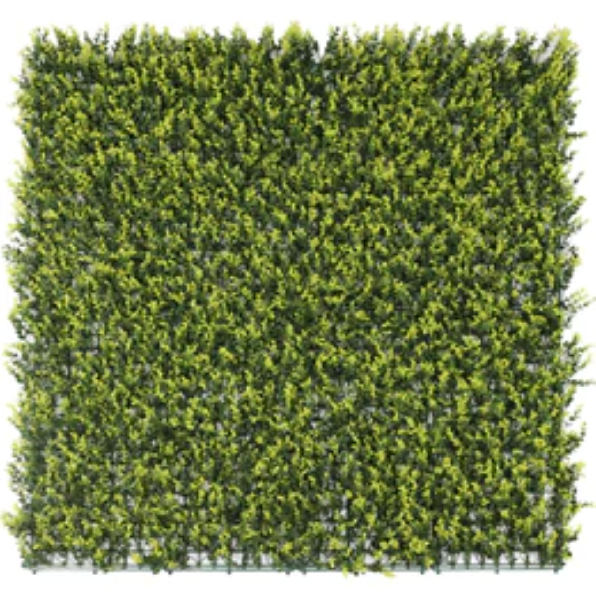 yellow artificial boxwood hedge panel 40x40