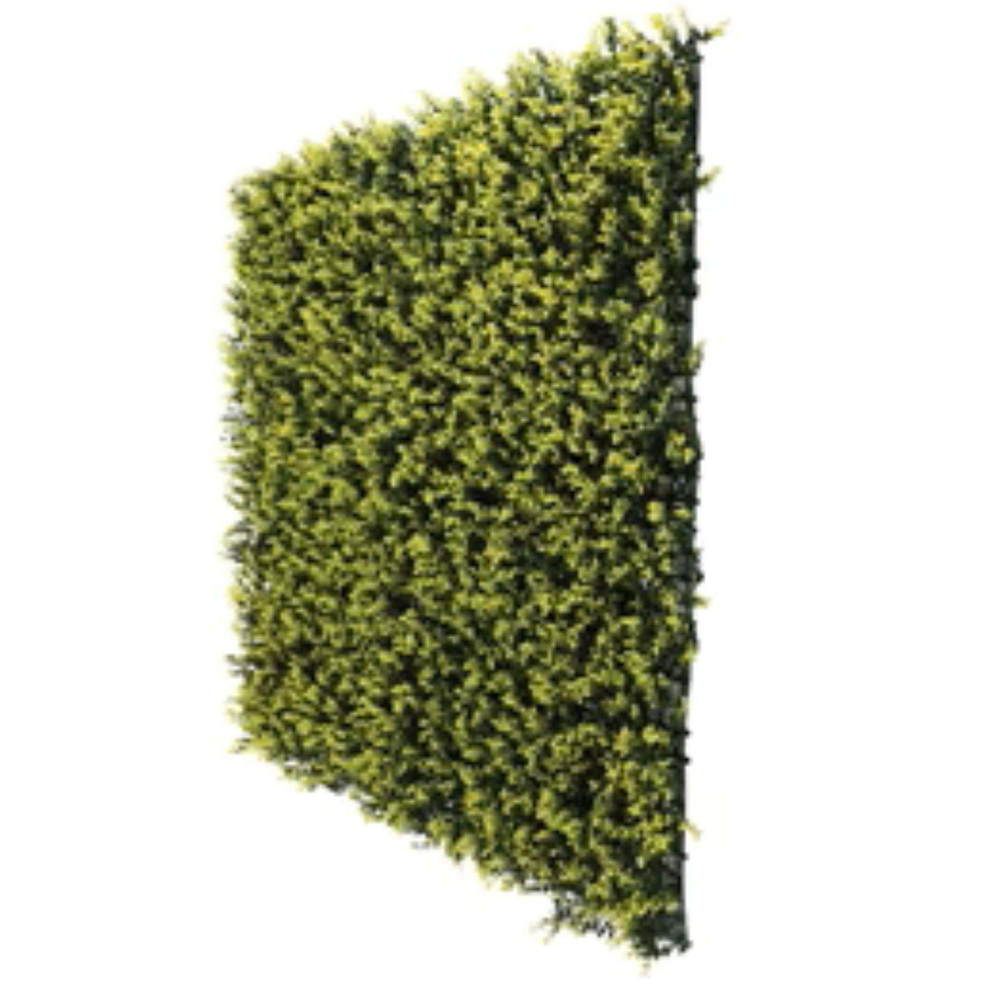 bright faux boxwood greenery panel