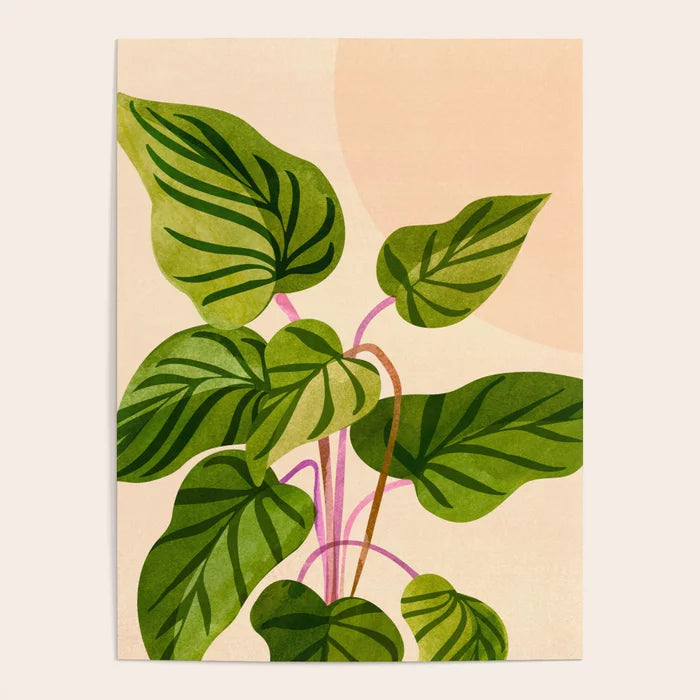 “Botanical art poster with cheerful plant illustration for modern home or café wall décor