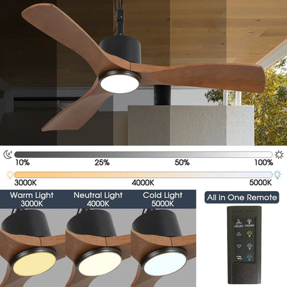 Energy-efficient black ceiling fan with dimmable LED lighting and reversible airflow for outdoor comfort